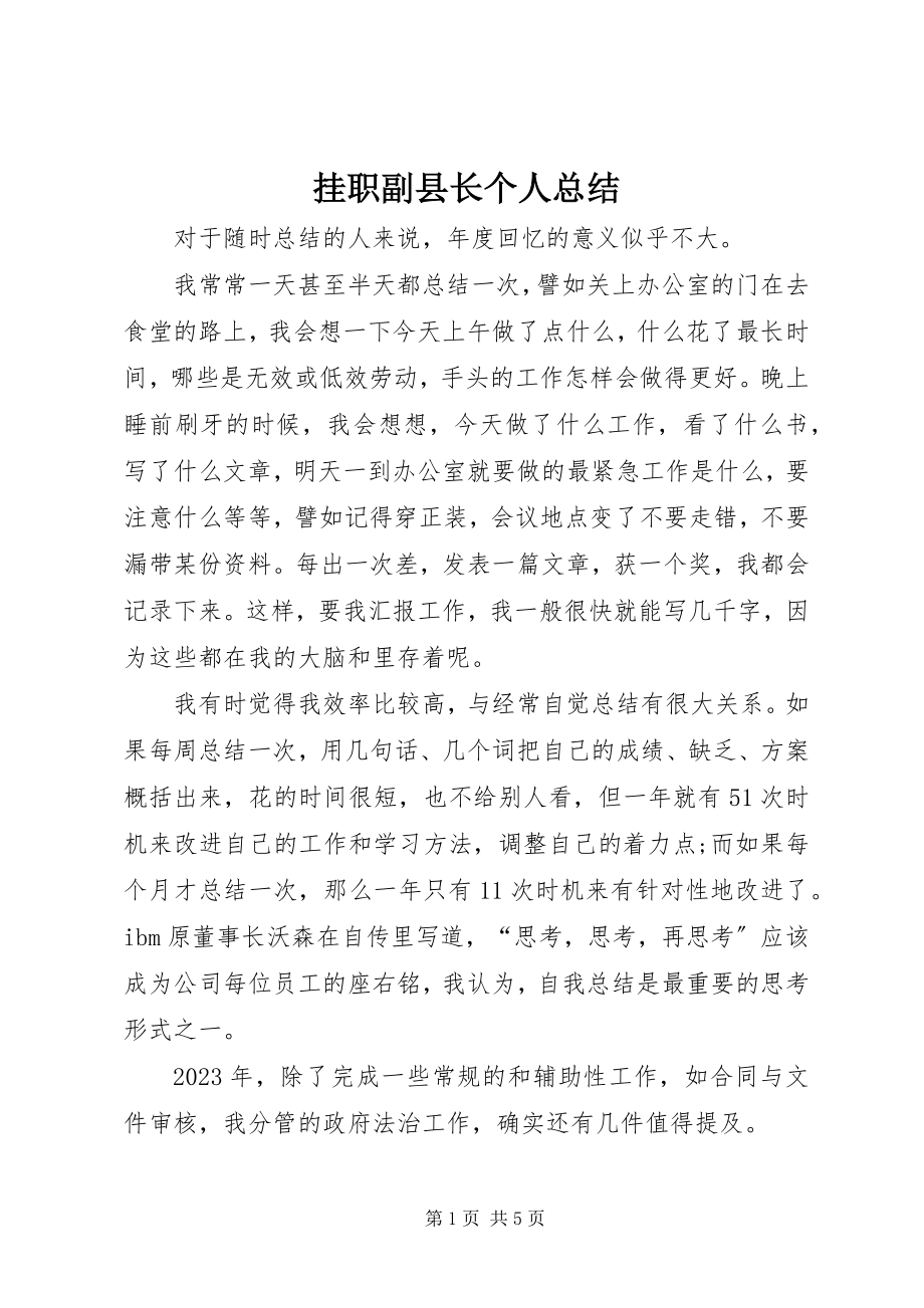 2023年挂职副县长个人总结.docx_第1页