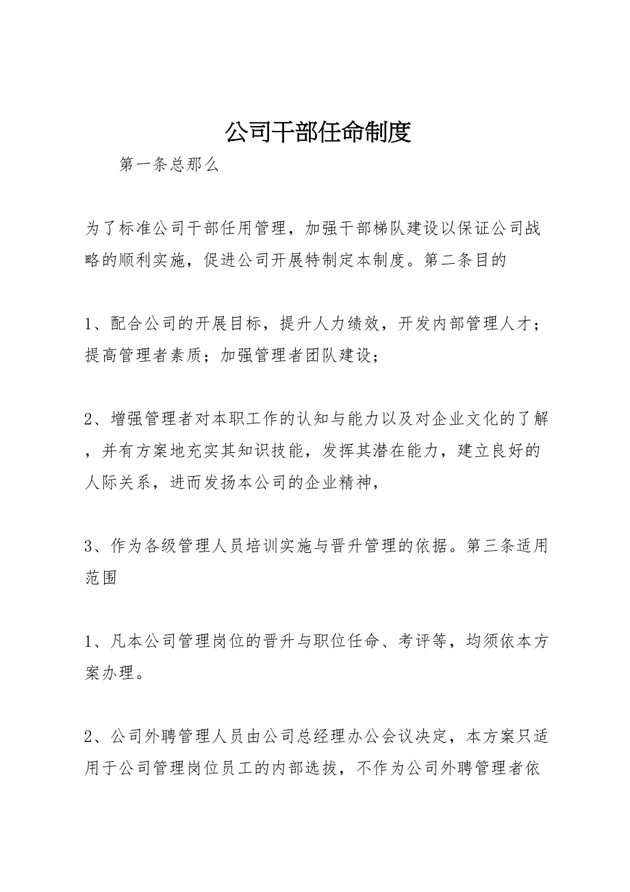 2023年公司干部任命制度.doc_第1页