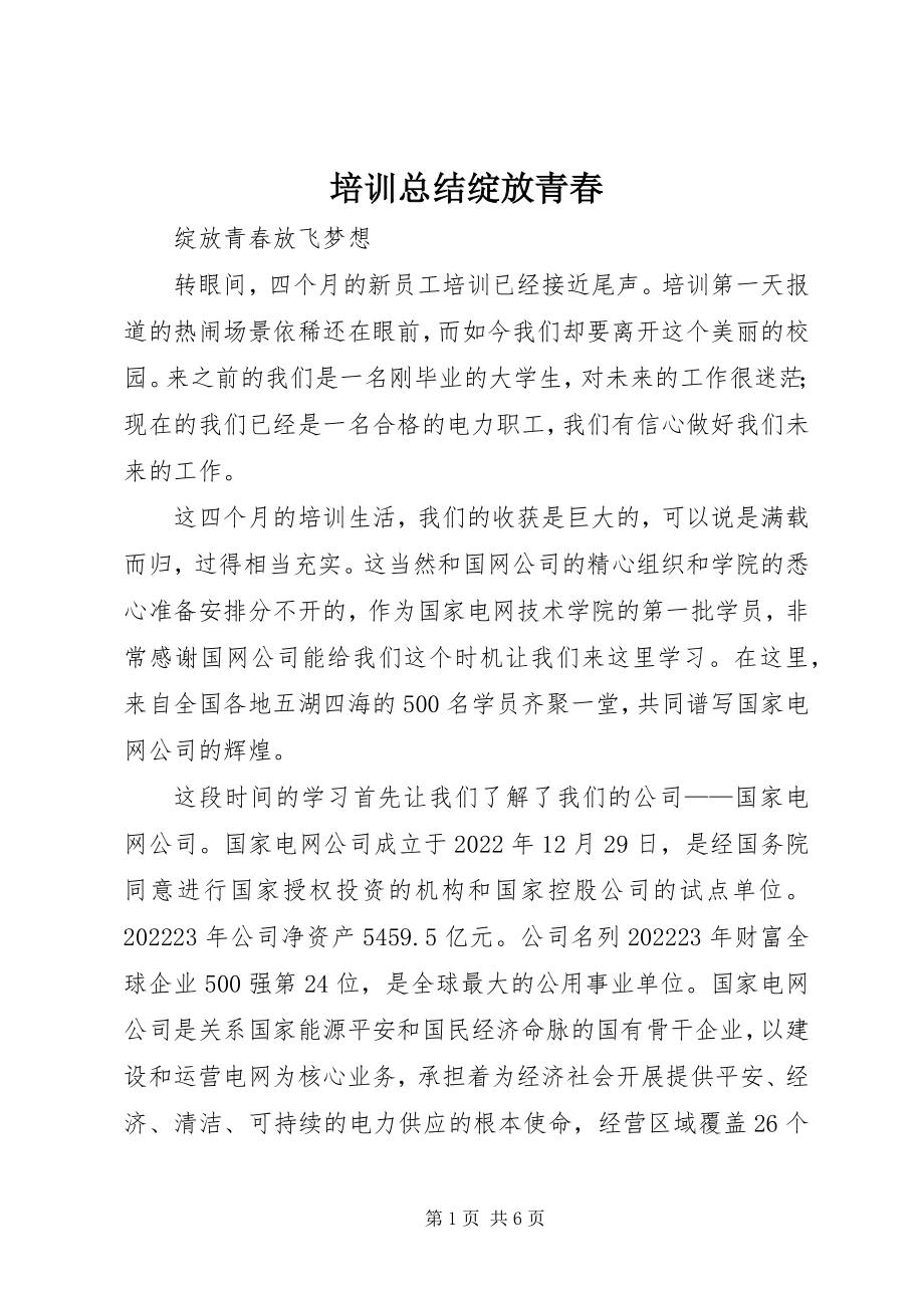 2023年培训总结绽放青春.docx_第1页