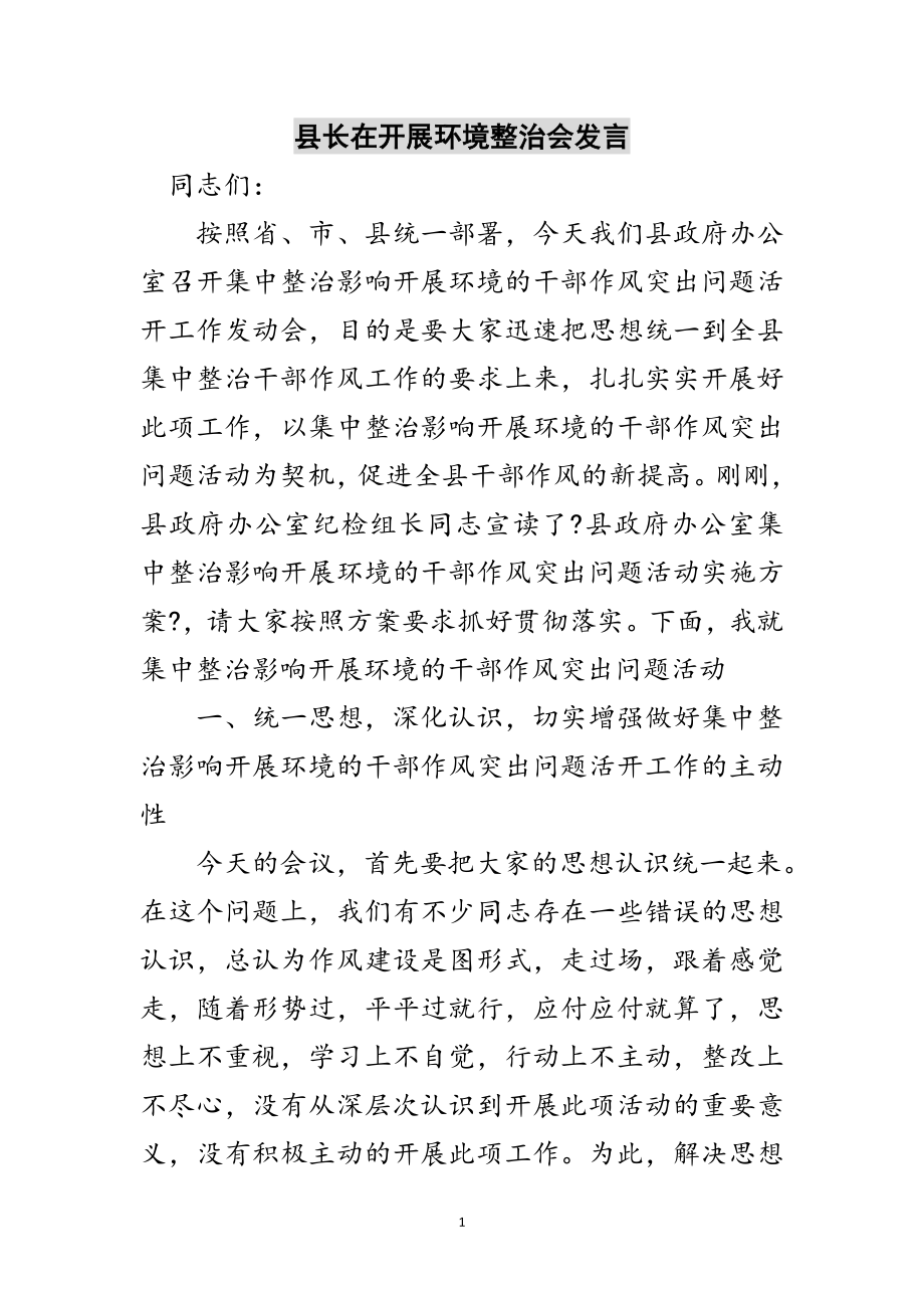 2023年县长在发展环境整治会发言范文.doc_第1页