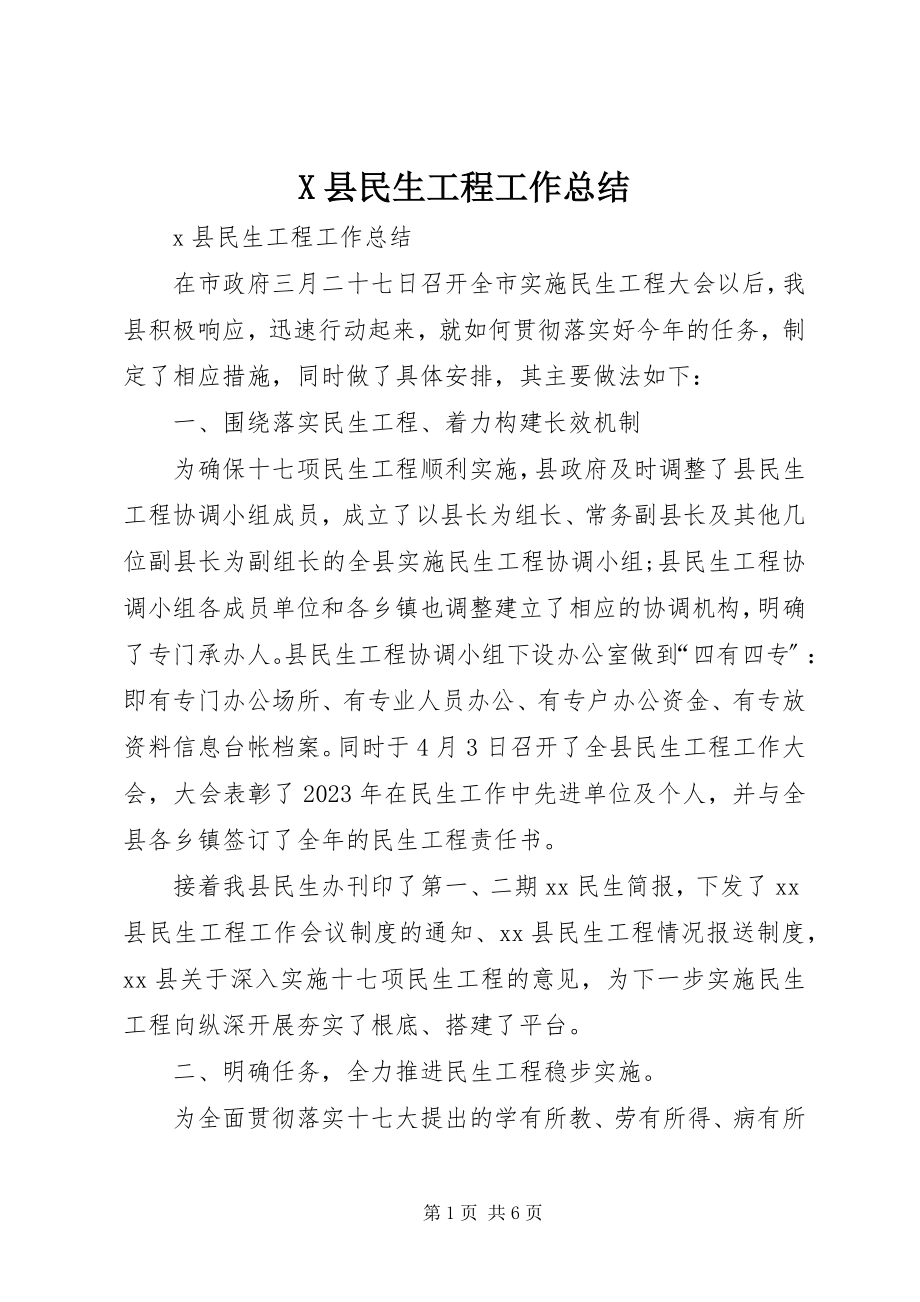 2023年X县民生工程工作总结新编.docx_第1页