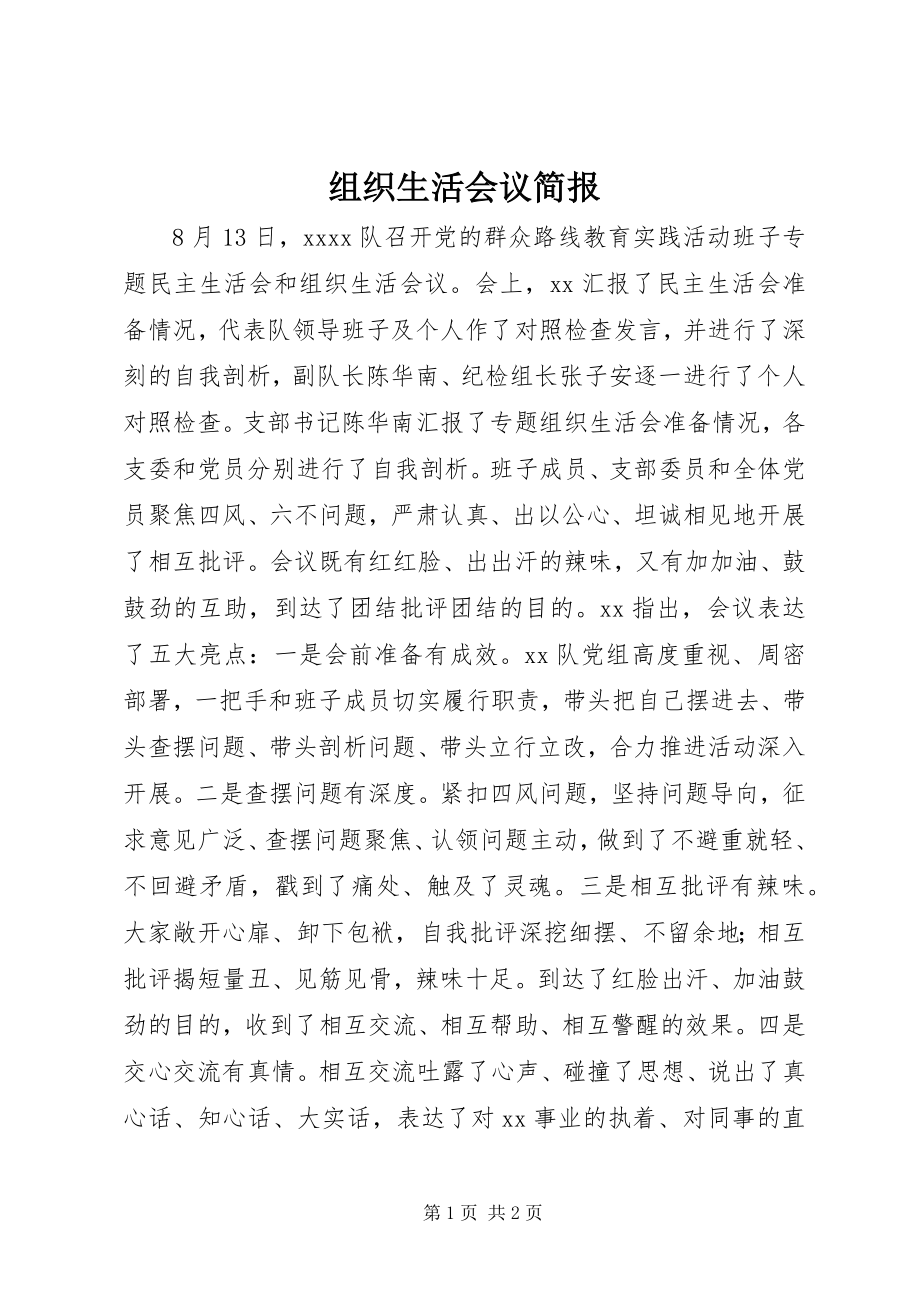 2023年组织生活会议简报.docx_第1页