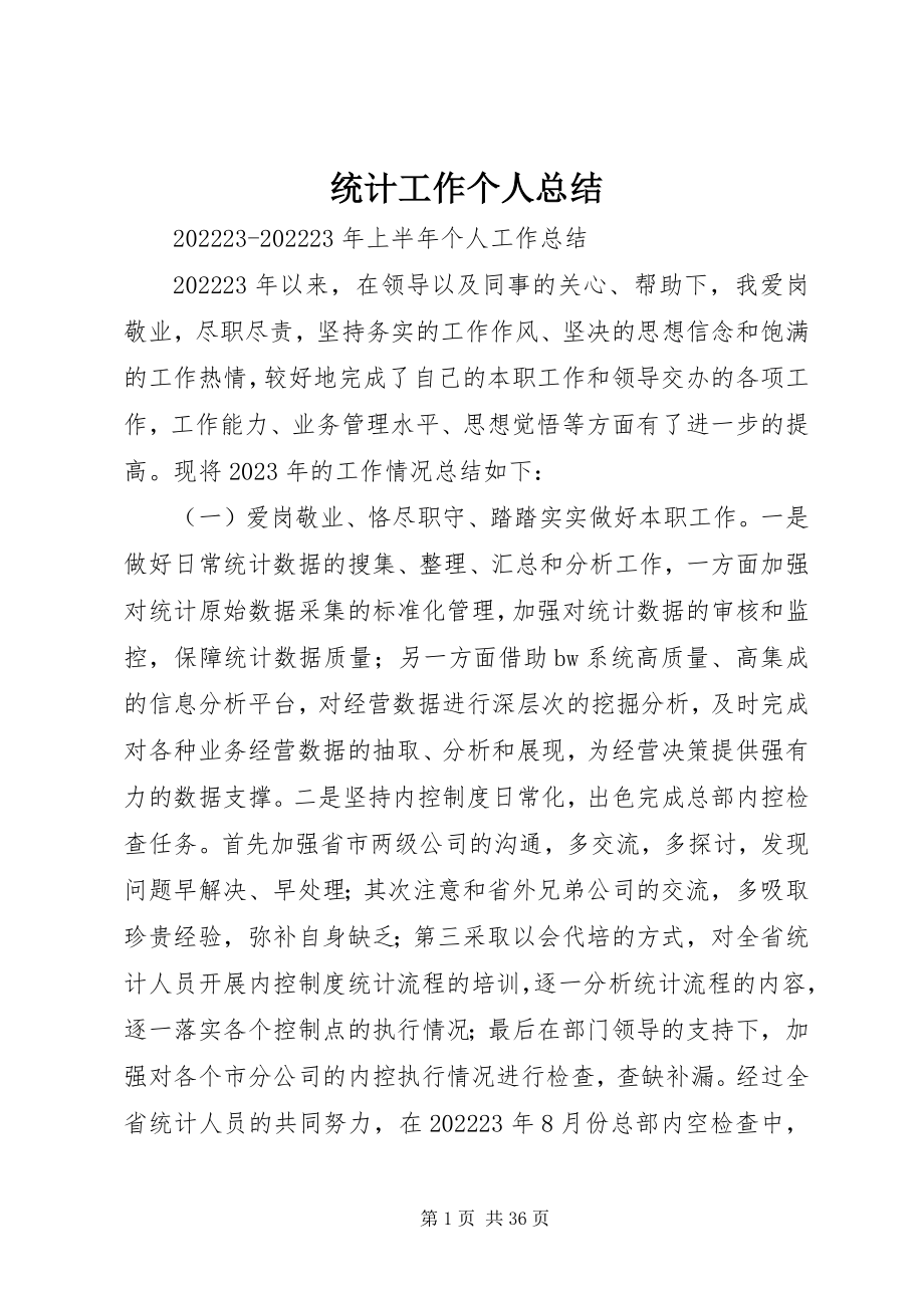 2023年统计工作个人总结.docx_第1页