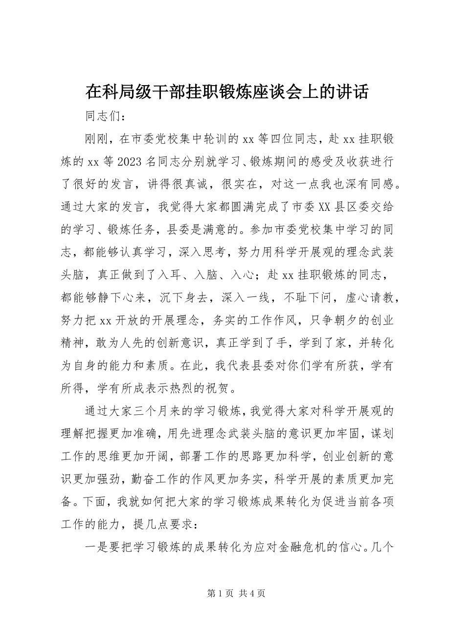 2023年在科局级干部挂职锻炼座谈会上的致辞.docx_第1页