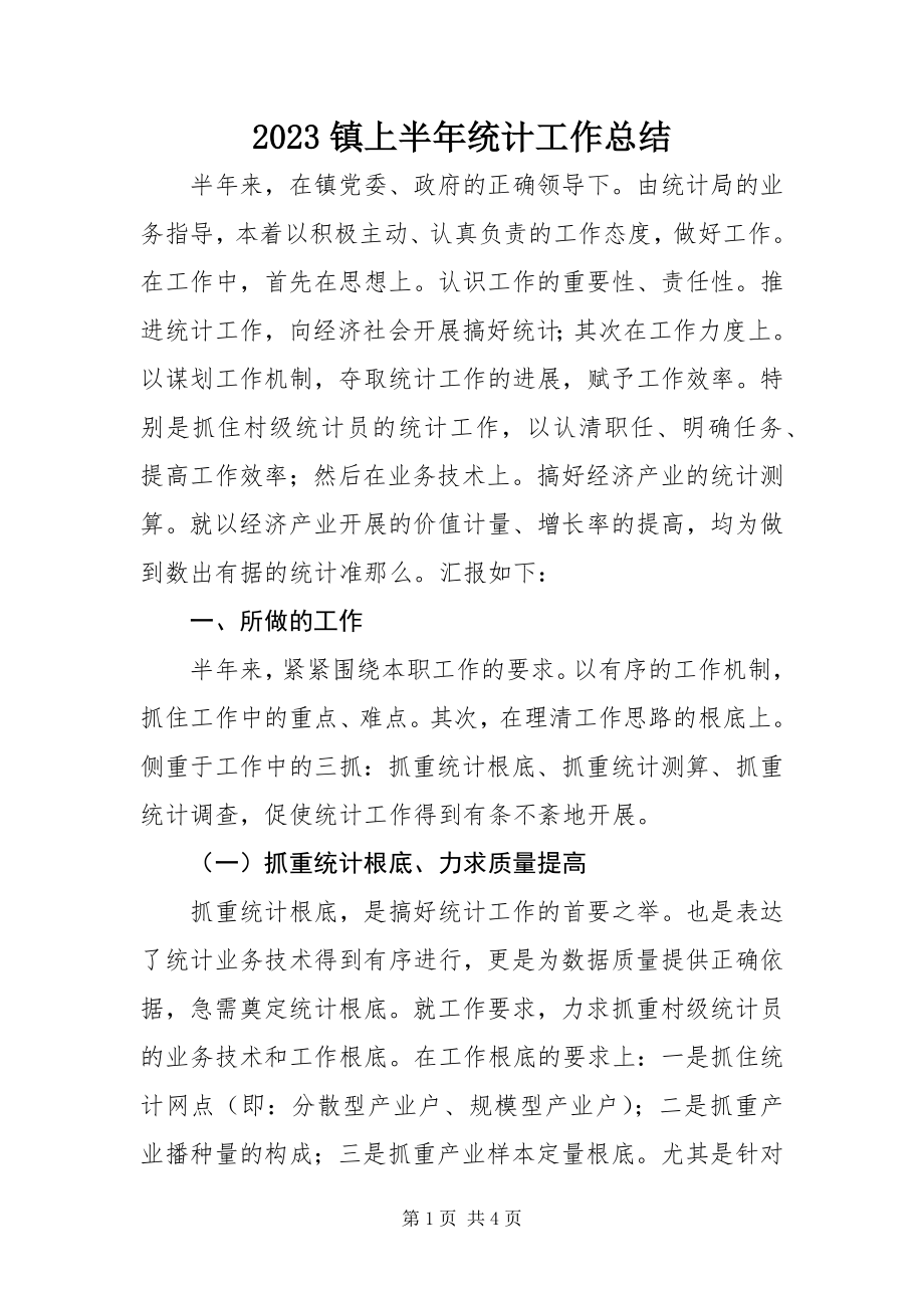 2023年镇上半年统计工作总结.docx_第1页