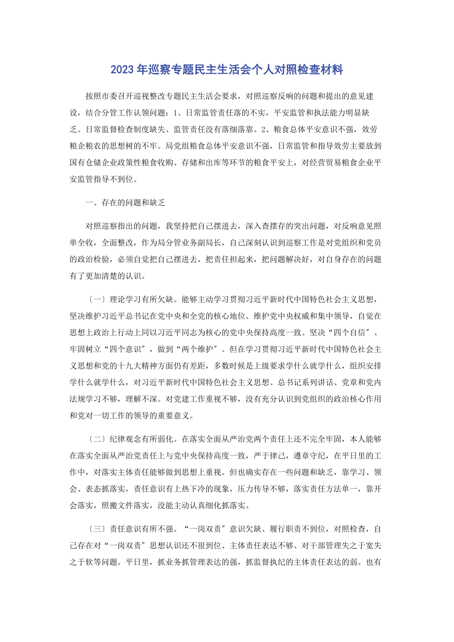 2023年巡察专题民主生活会个人对照检查材料.docx_第1页