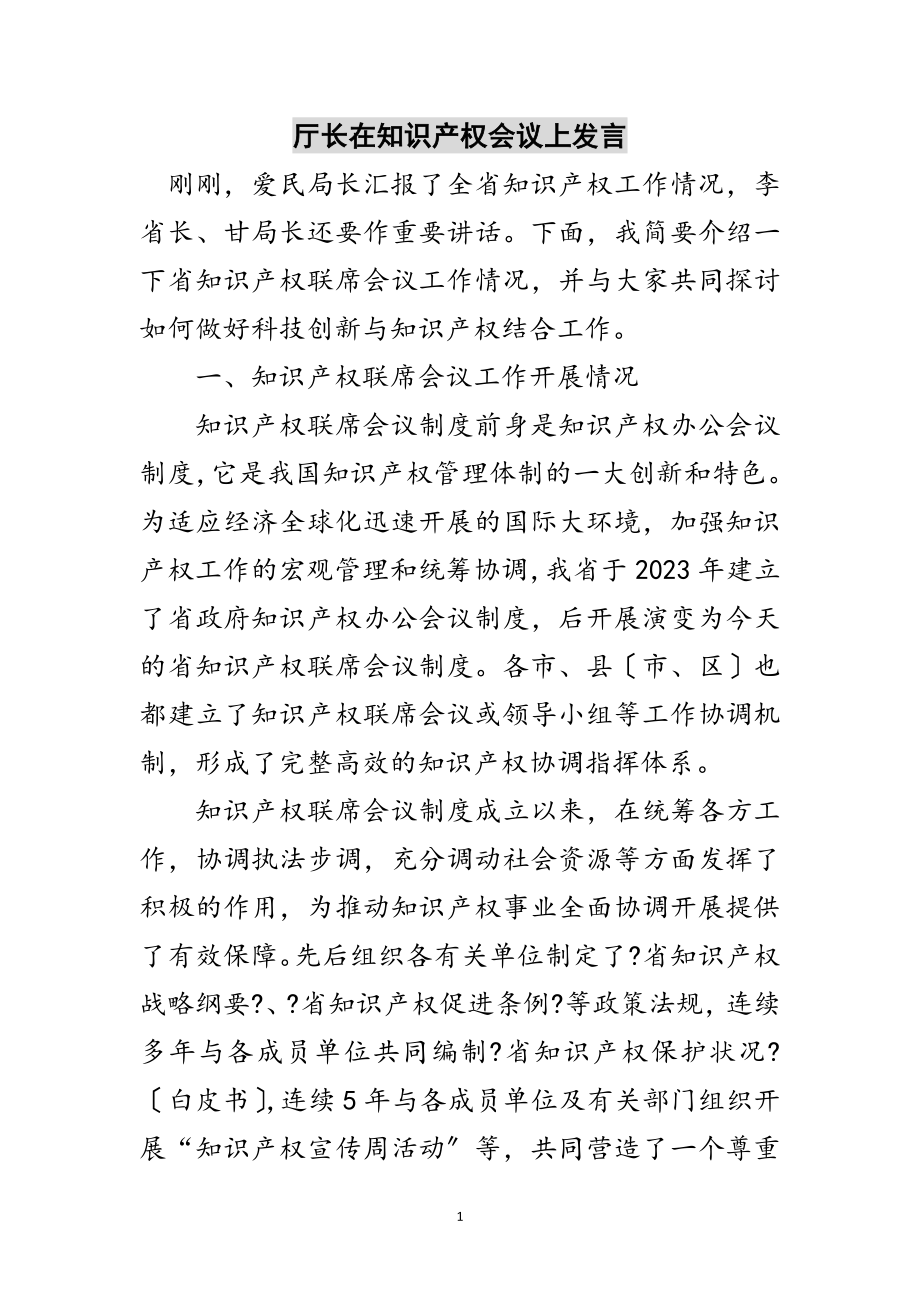 2023年厅长在知识产权会议上发言范文.doc_第1页