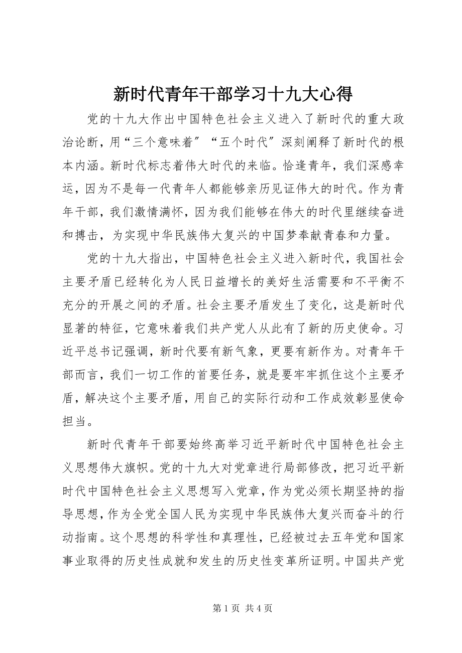 2023年新时代青年干部学习十九大心得.docx_第1页