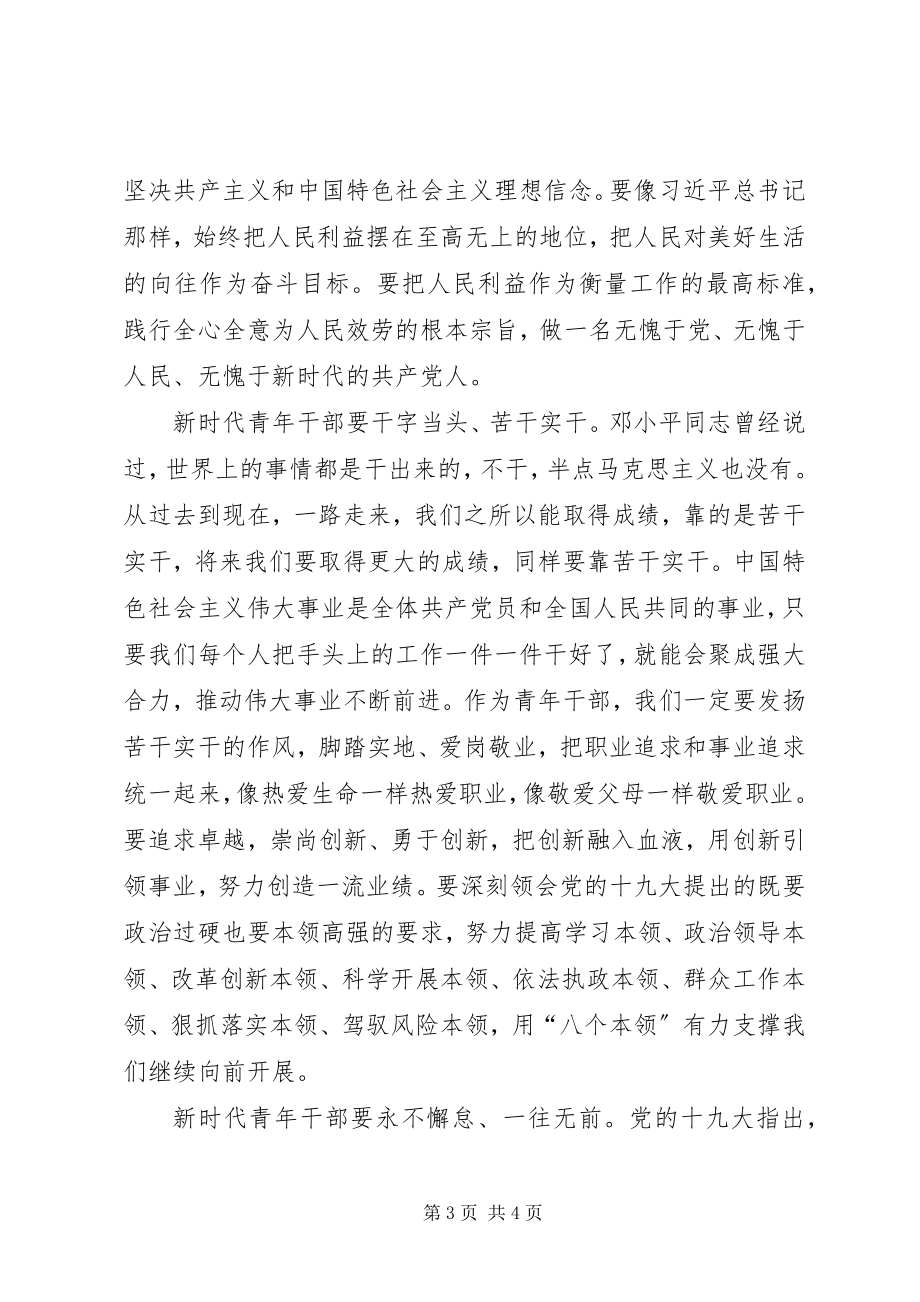 2023年新时代青年干部学习十九大心得.docx_第3页