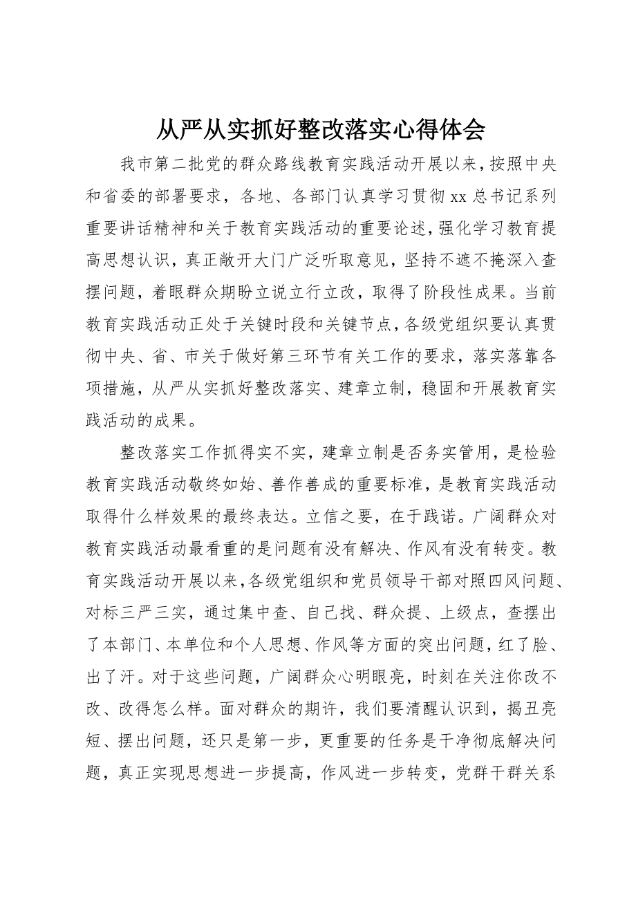 2023年从严从实抓好整改落实心得体会.docx_第1页