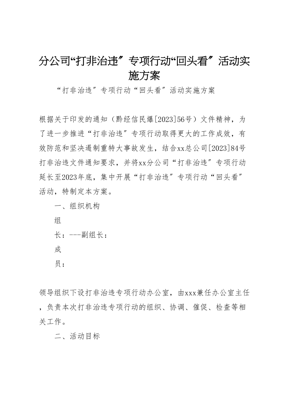 2023年分公司打非治违专项行动回头看活动实施方案.doc_第1页