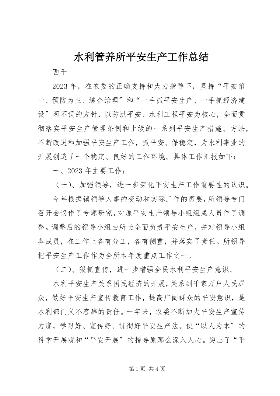 2023年水利管养所安全生产工作总结.docx_第1页