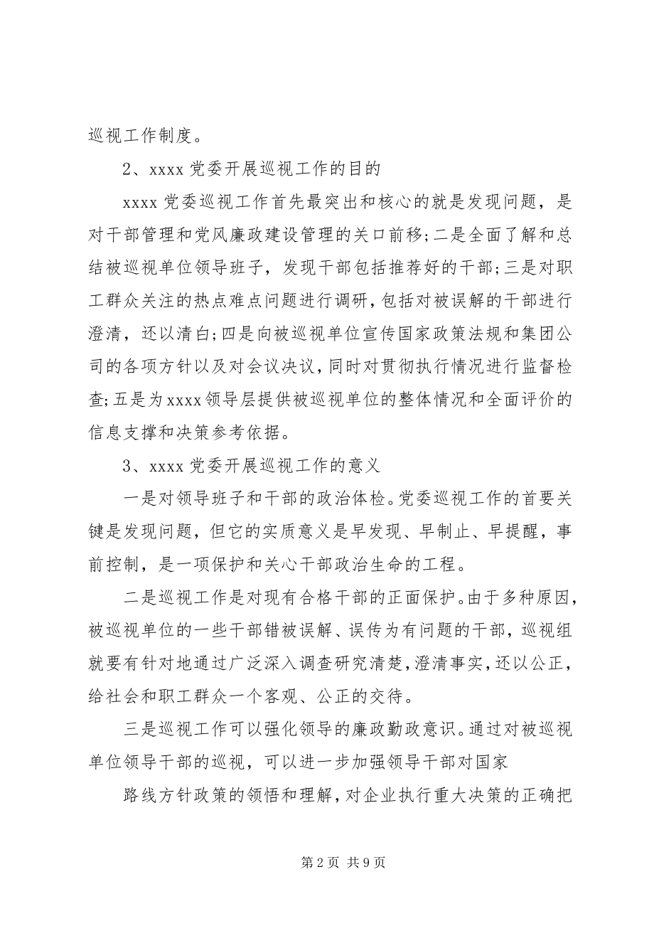 2023年巡察工作成员个人小结.docx_第2页