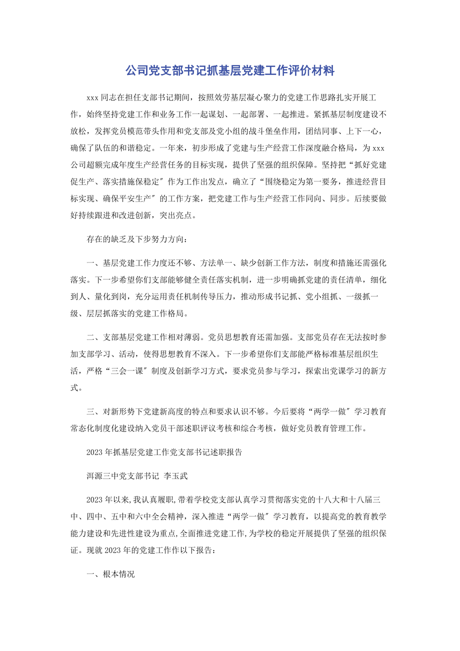 2023年公司党支部书记抓基层党建工作评价材料.docx_第1页