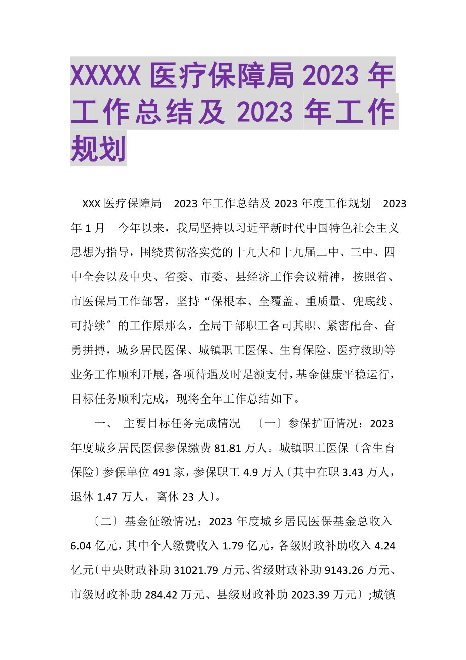 2023年XXXXX医疗保障局工作总结及工作规划.doc_第1页