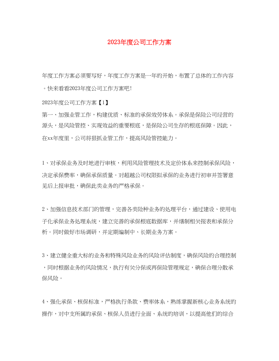 2023年度公司工作计划.docx_第1页