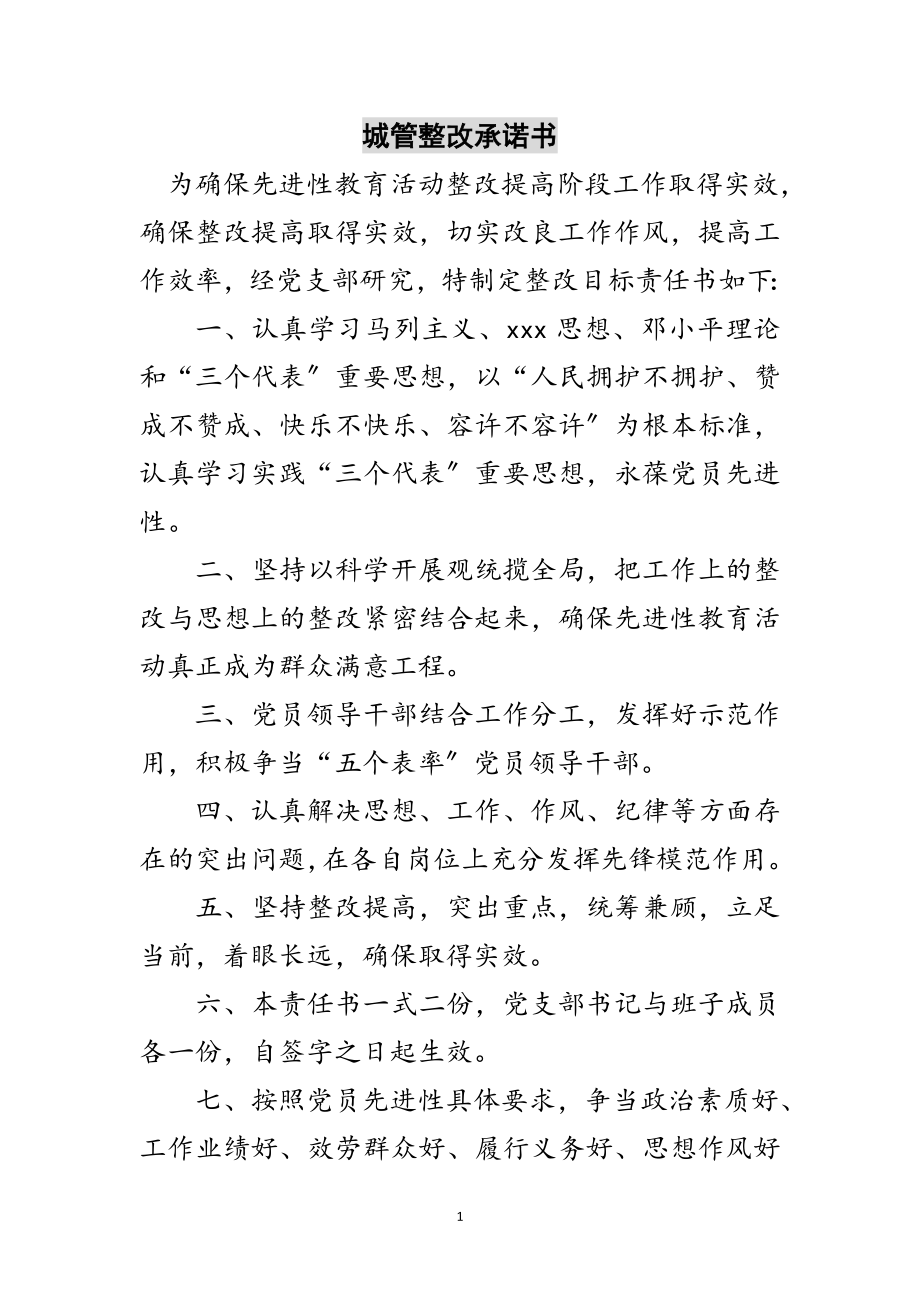 2023年城管整改承诺书范文.doc_第1页