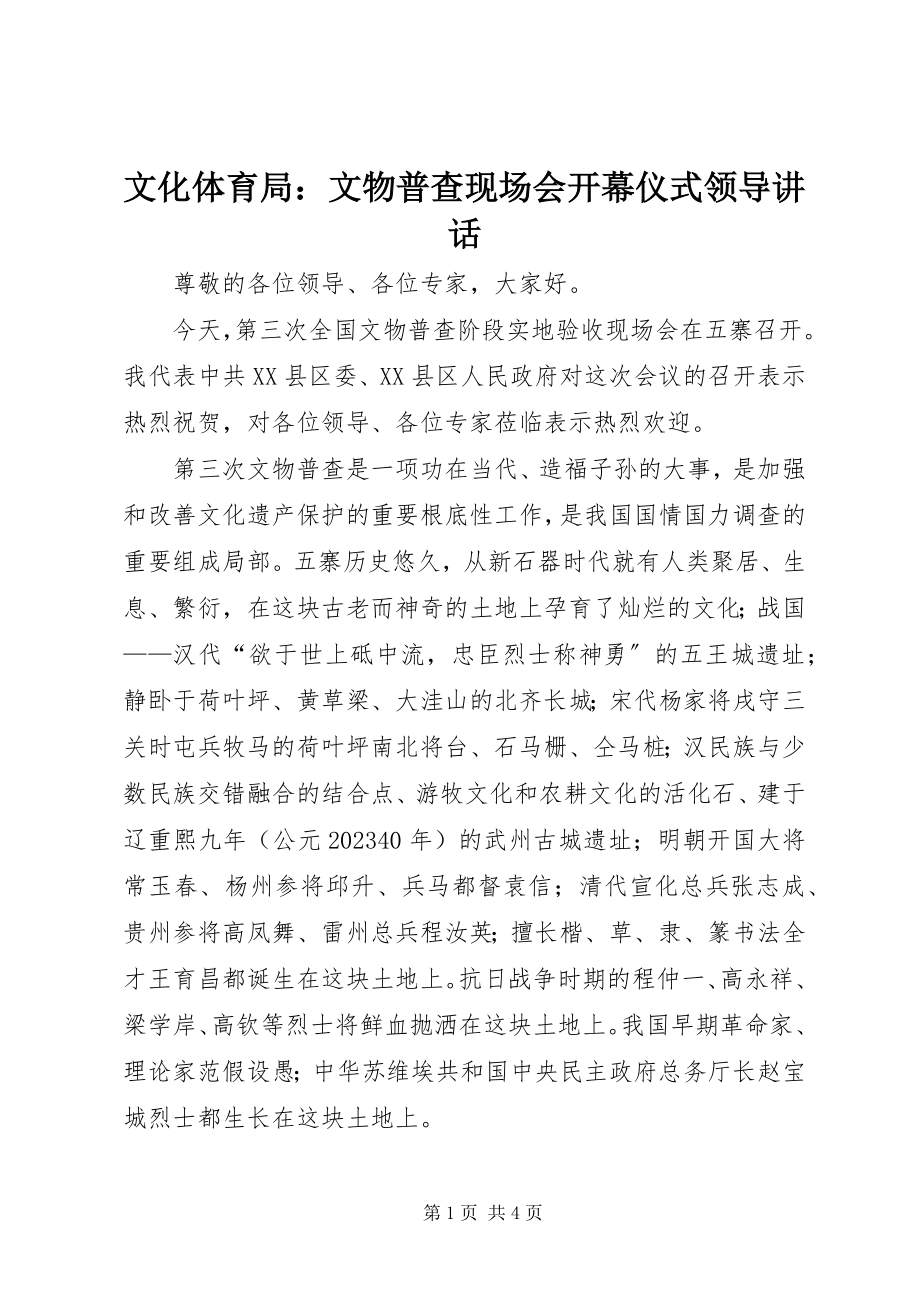 2023年文化体育局文物普查现场会开幕仪式领导致辞.docx_第1页