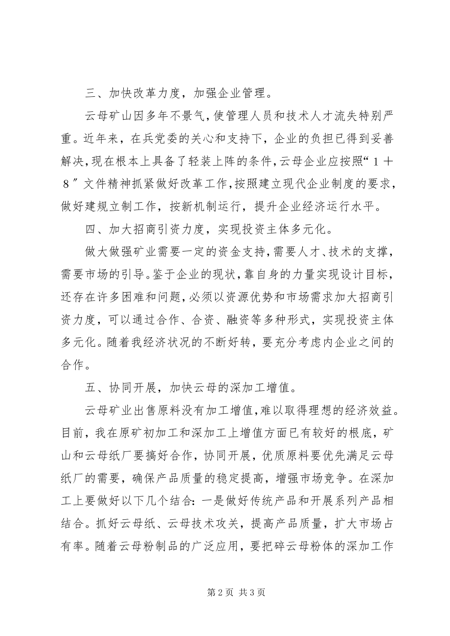 2023年做强云母矿业的对策.docx_第2页