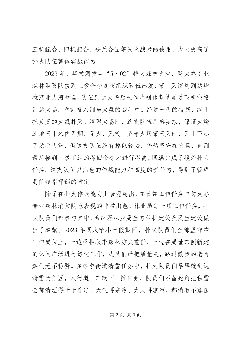 2023年防火办专业森林消防队先进事迹材料.docx_第2页