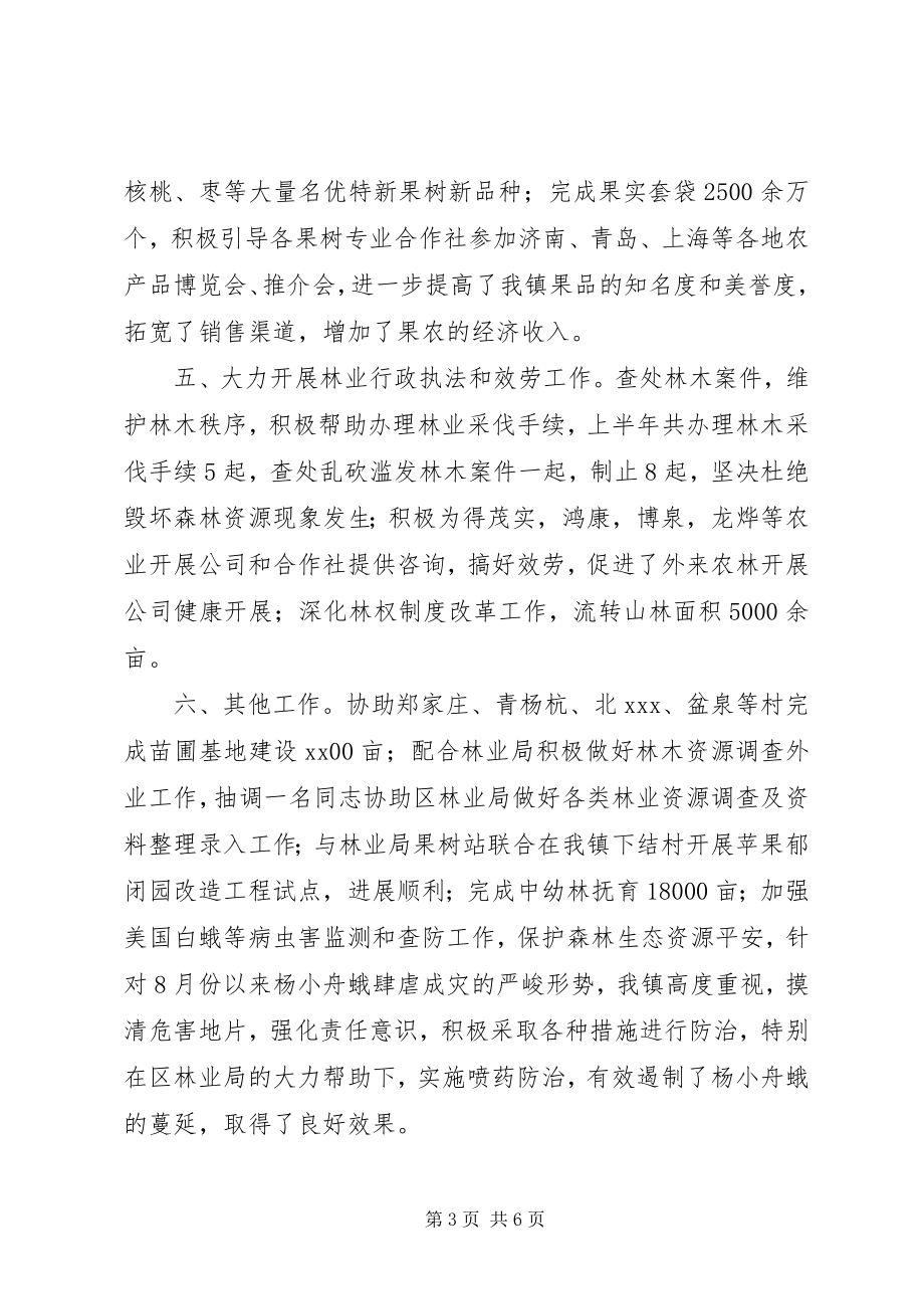 2023年乡镇林业站年终工作总结2.docx_第3页