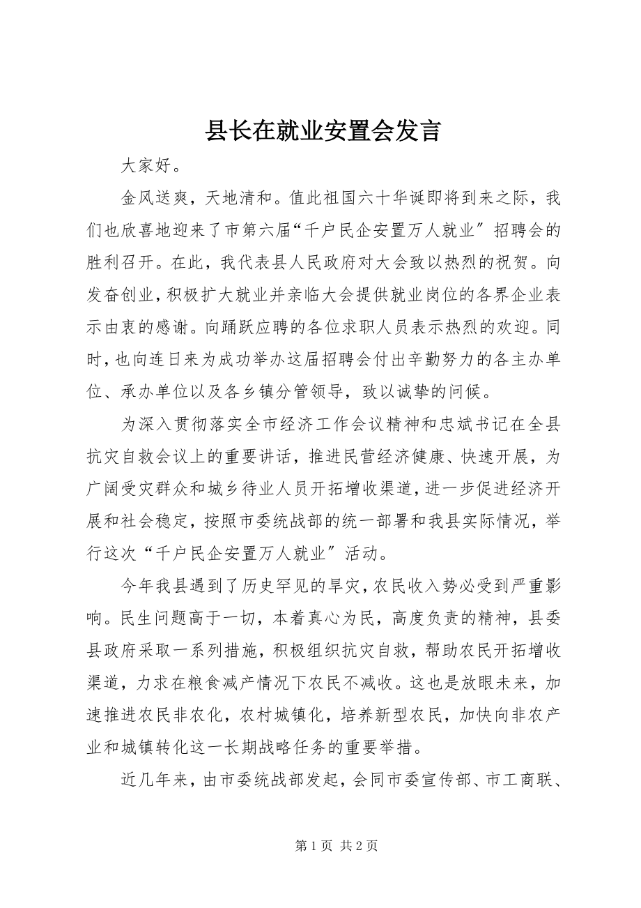 2023年县长在就业安置会讲话.docx_第1页