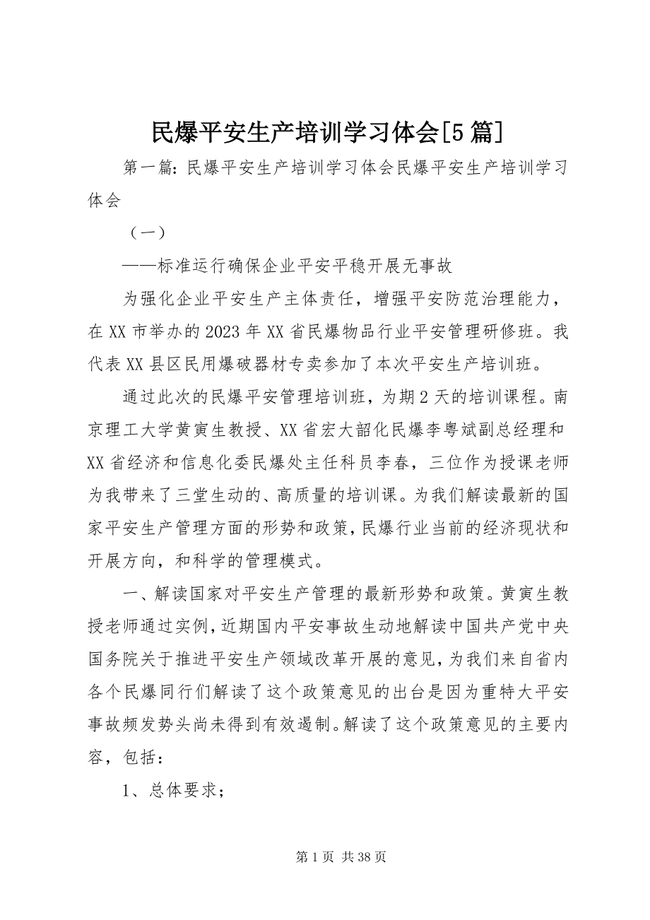 2023年民爆安全生产培训学习体会5篇.docx_第1页