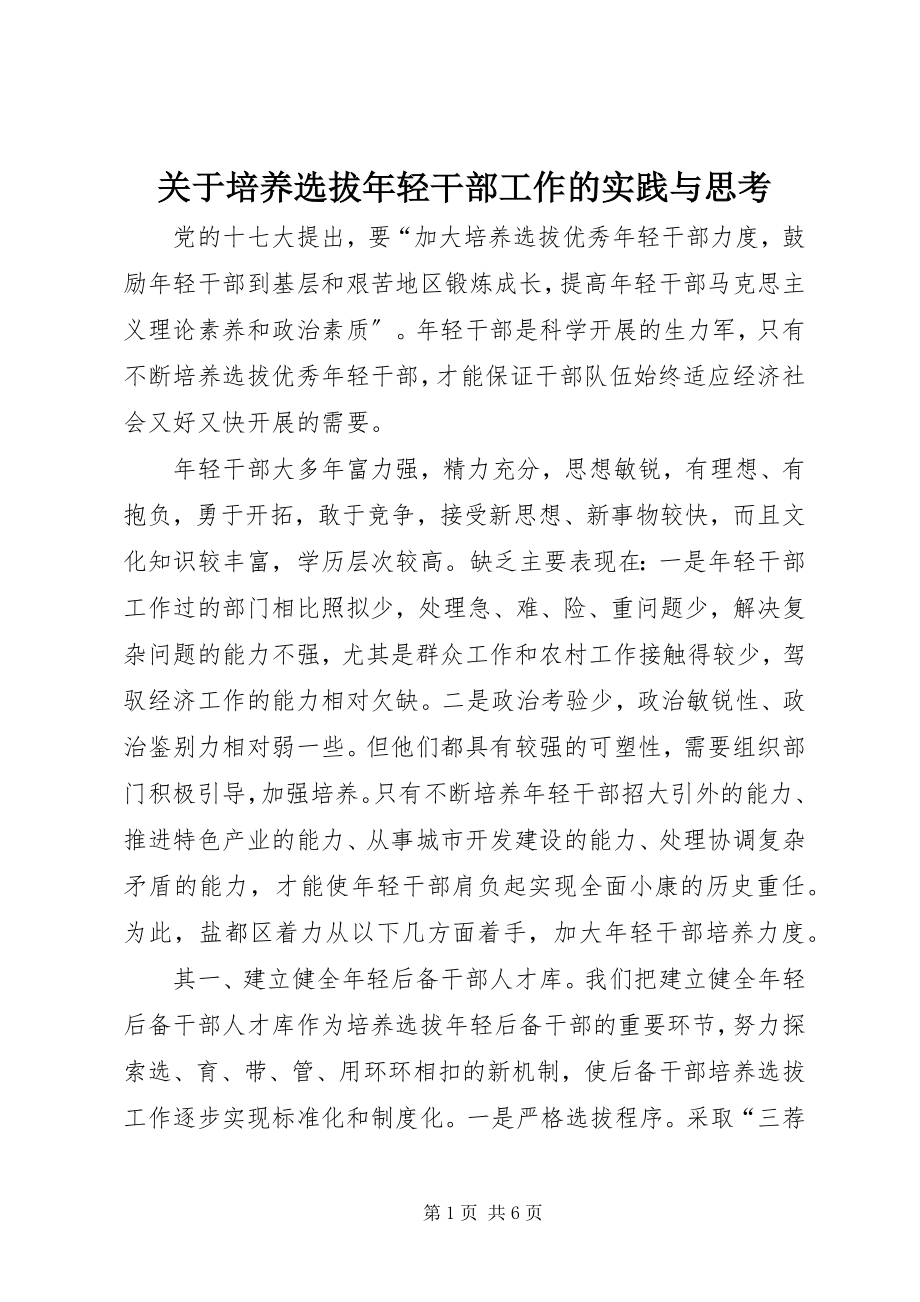 2023年培养选拔轻干部工作的实践与思考.docx_第1页