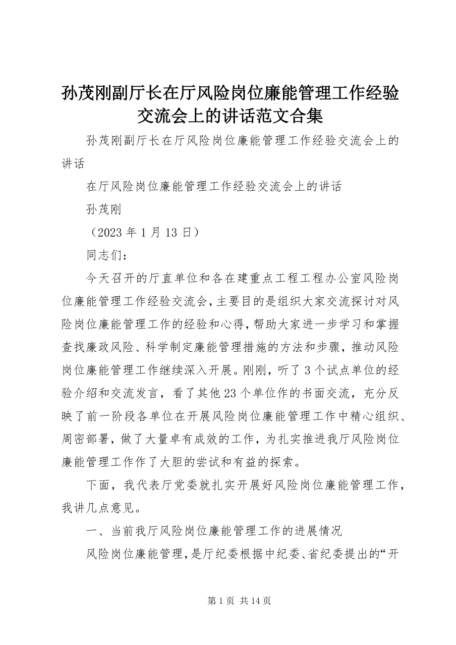 2023年孙茂刚副厅长在厅风险岗位廉能管理工作经验交流会上的致辞合集.docx_第1页