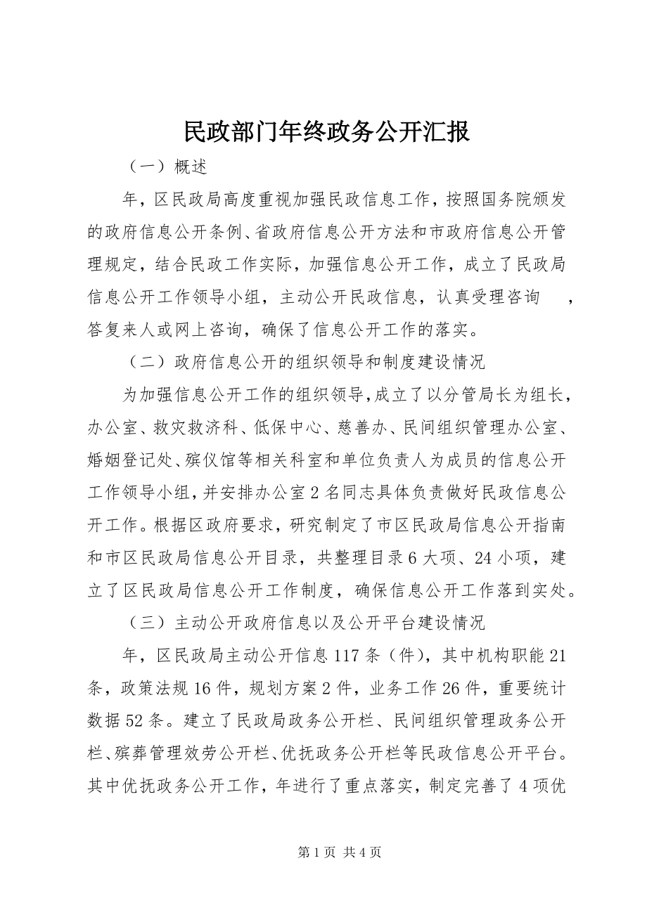 2023年民政部门终政务公开汇报.docx_第1页