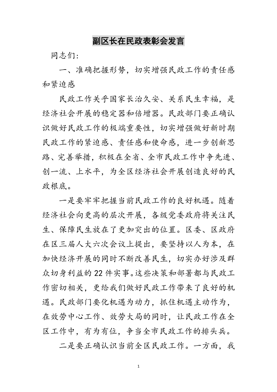 2023年副区长在民政表彰会发言范文.doc_第1页