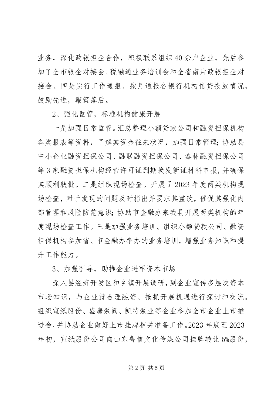 2023年县金融办度工作总结和度工作计划.docx_第2页