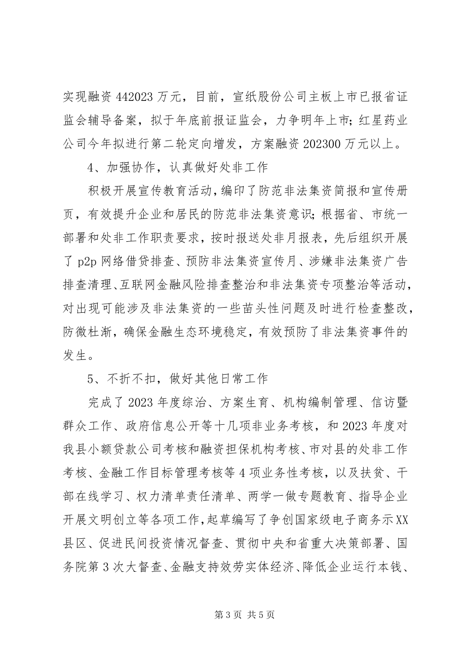 2023年县金融办度工作总结和度工作计划.docx_第3页