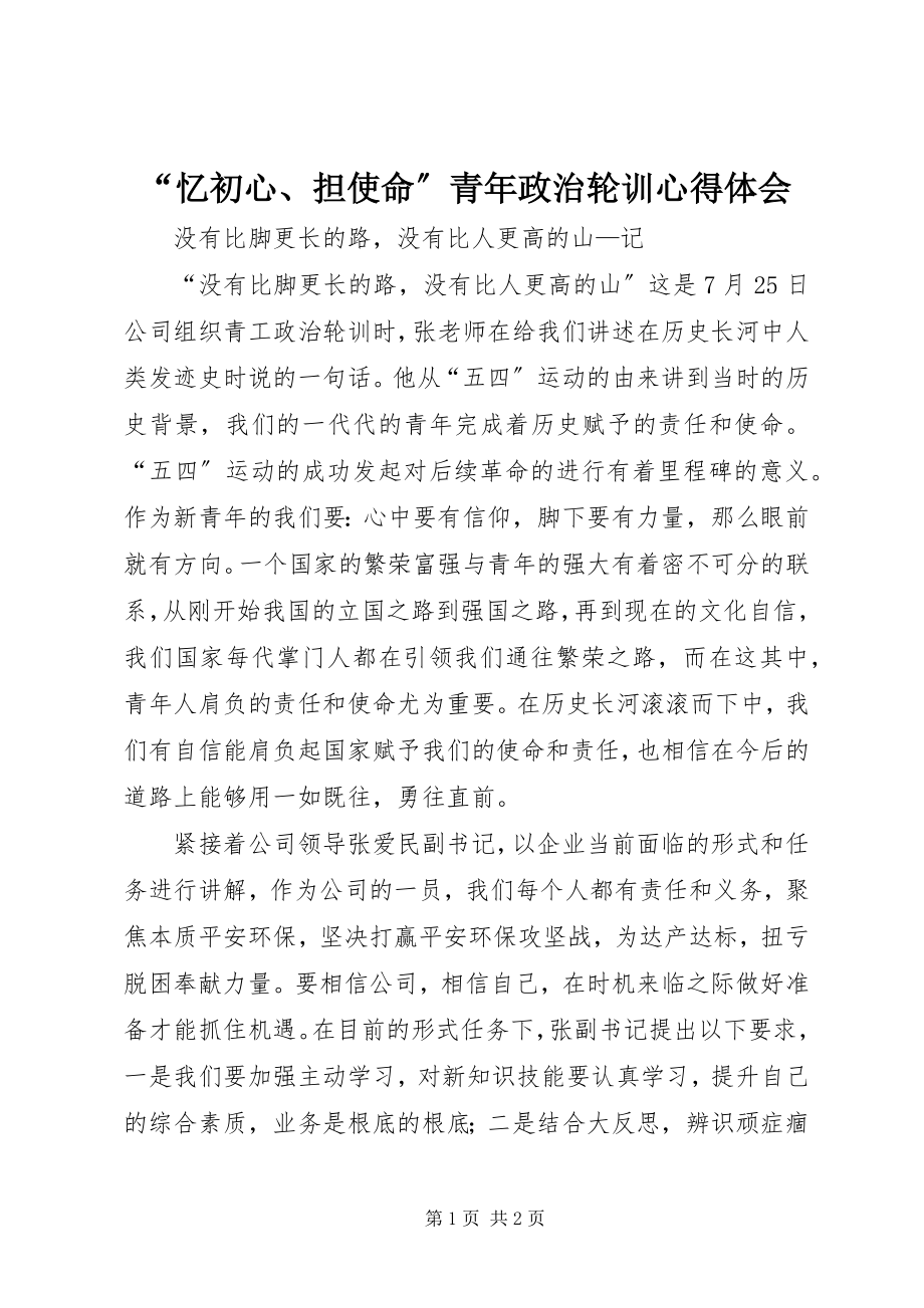 2023年“忆初心担使命”青年政治轮训心得体会新编.docx_第1页