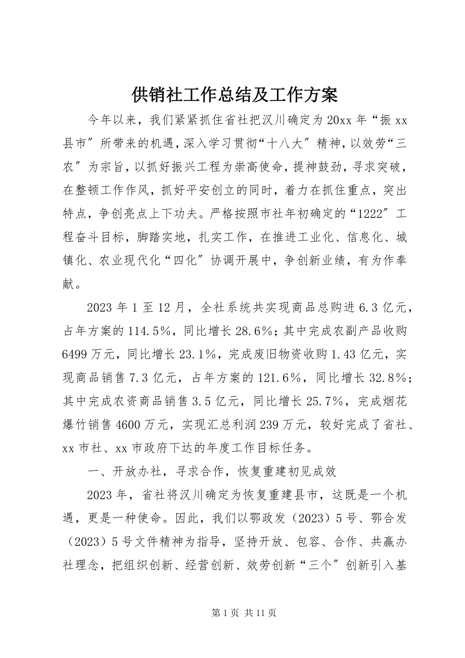 2023年供销社工作总结及工作计划.docx_第1页