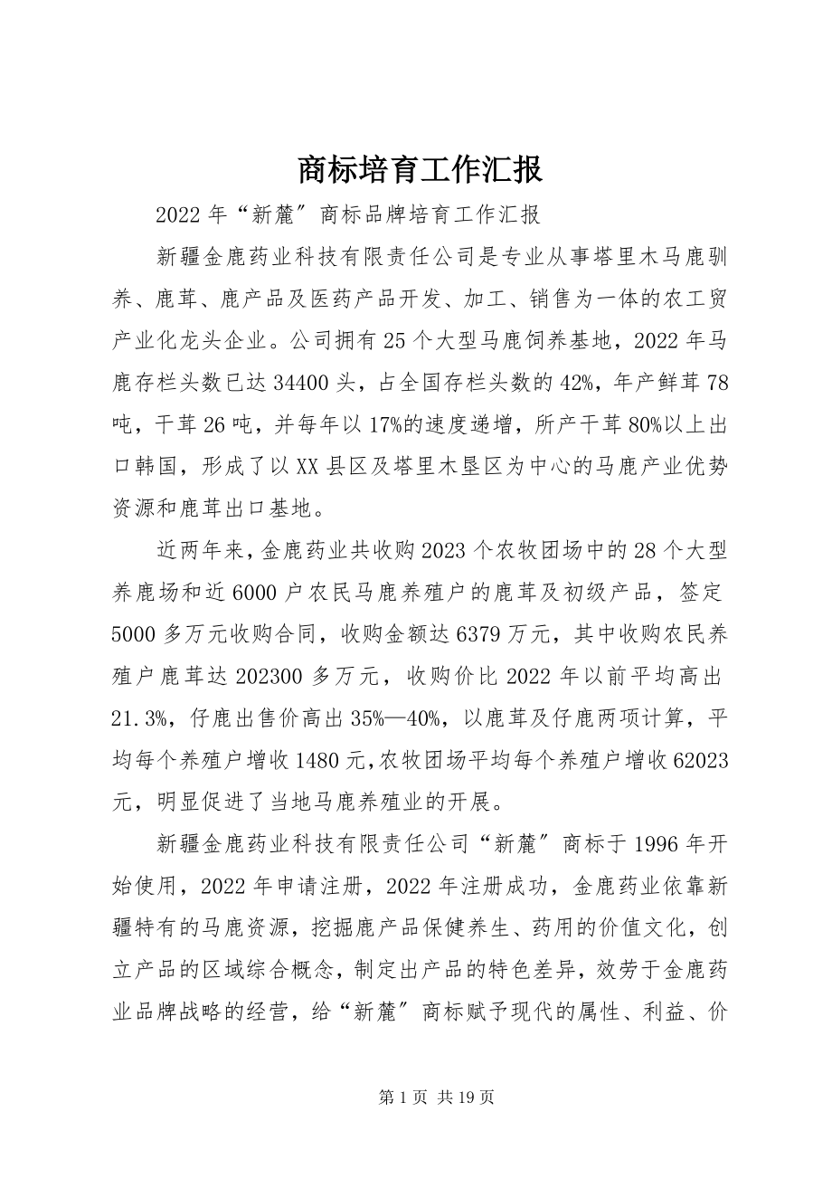 2023年商标培育工作汇报.docx_第1页