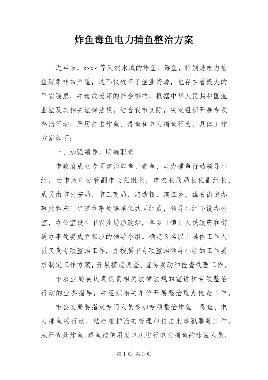 2023年炸鱼毒鱼电力捕鱼整治方案.docx_第1页