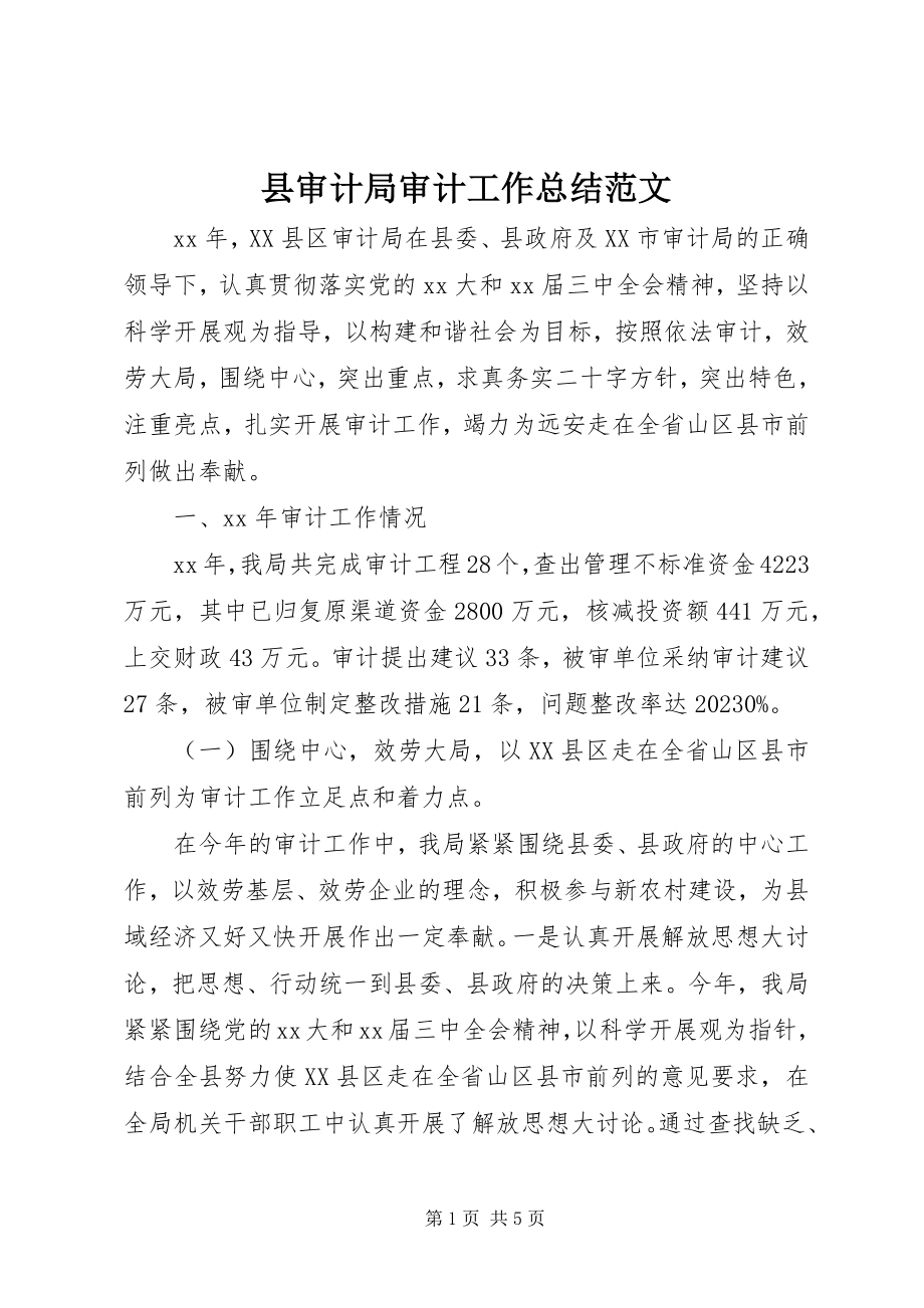 2023年县审计局审计工作总结.docx_第1页