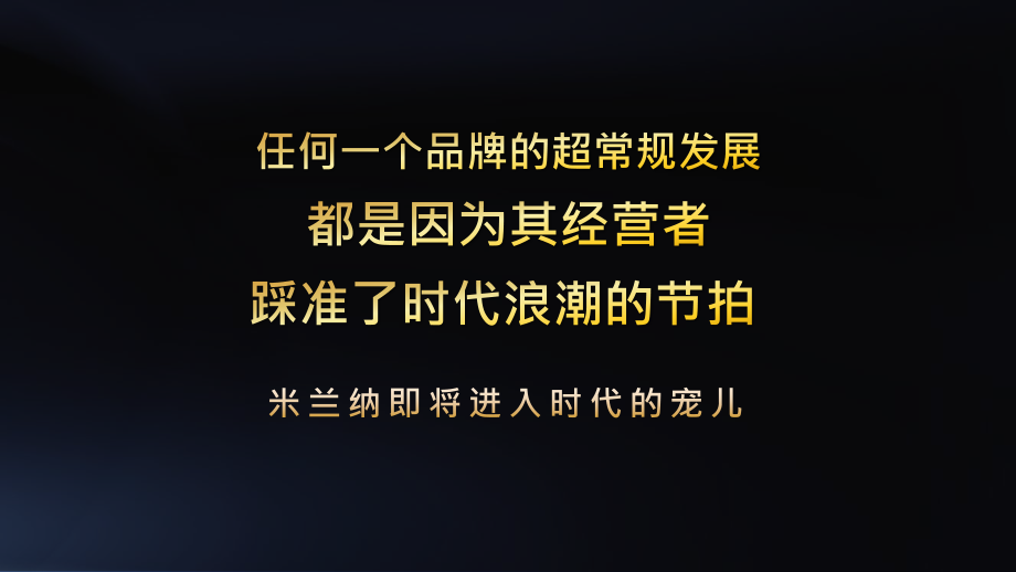 米兰纳品牌&新浪家居合作推广方案.pptx_第2页