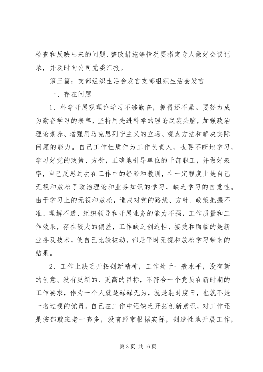 2023年支部组织生活会需归档材料.docx_第3页