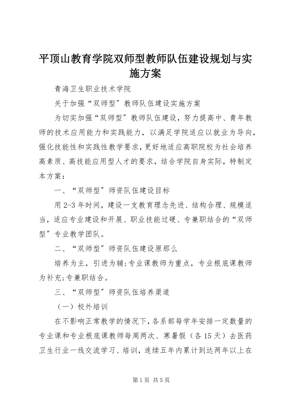 2023年平顶山教育学院双师型教师队伍建设规划与实施方案.docx_第1页