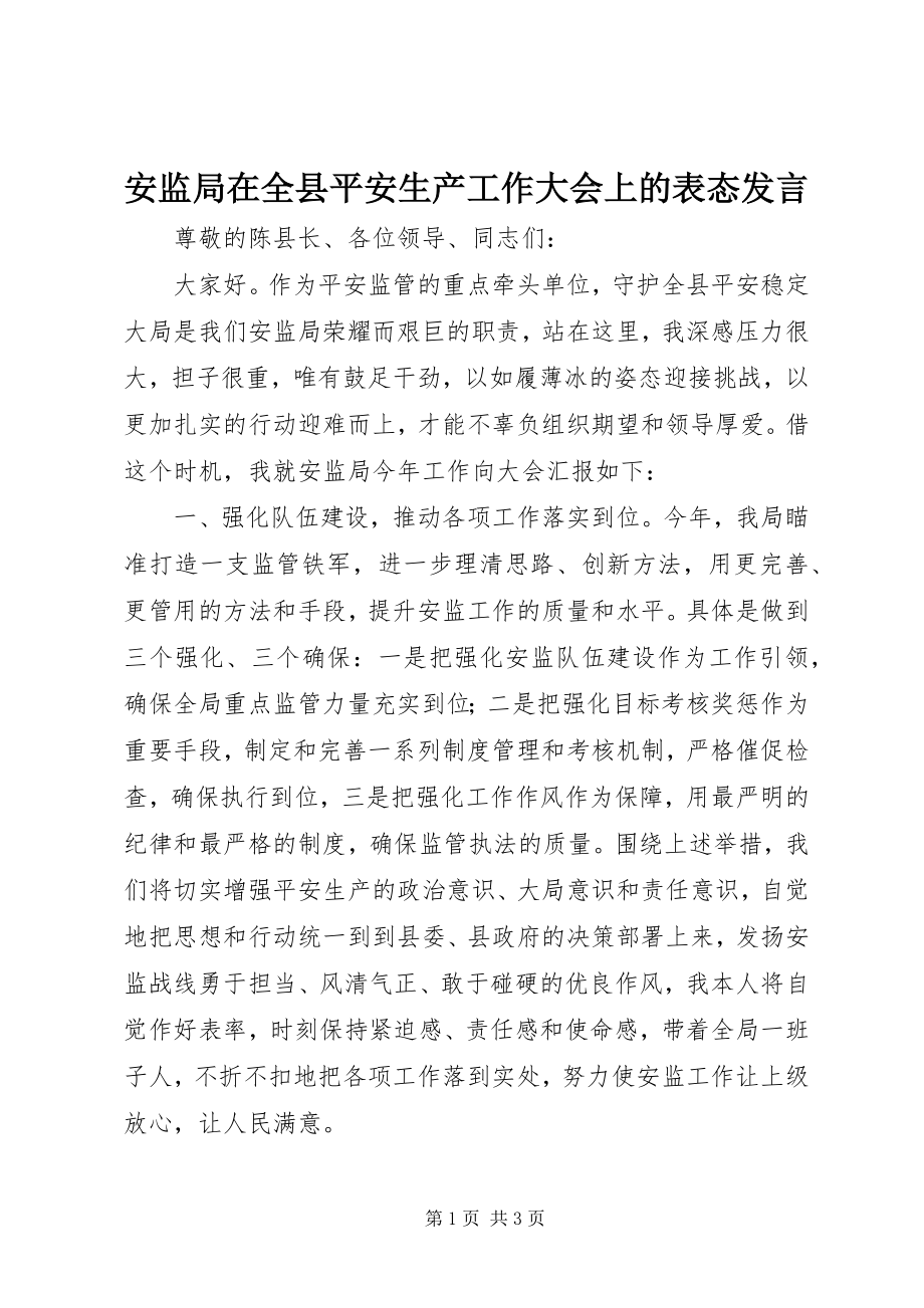 2023年安监局在全县安全生产工作大会上的表态讲话新编.docx_第1页