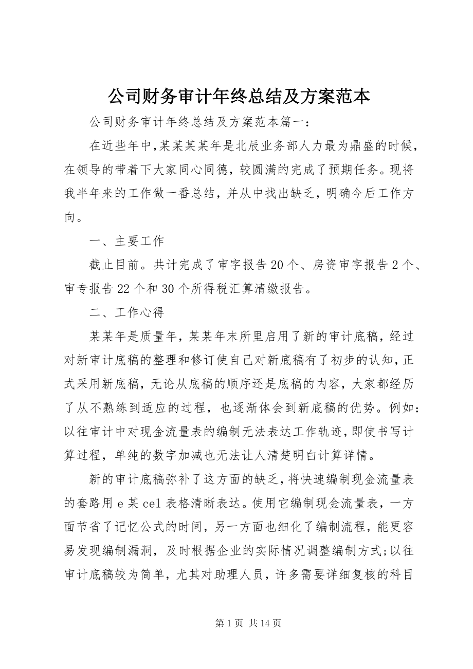 2023年公司财务审计年终总结及计划范本.docx_第1页