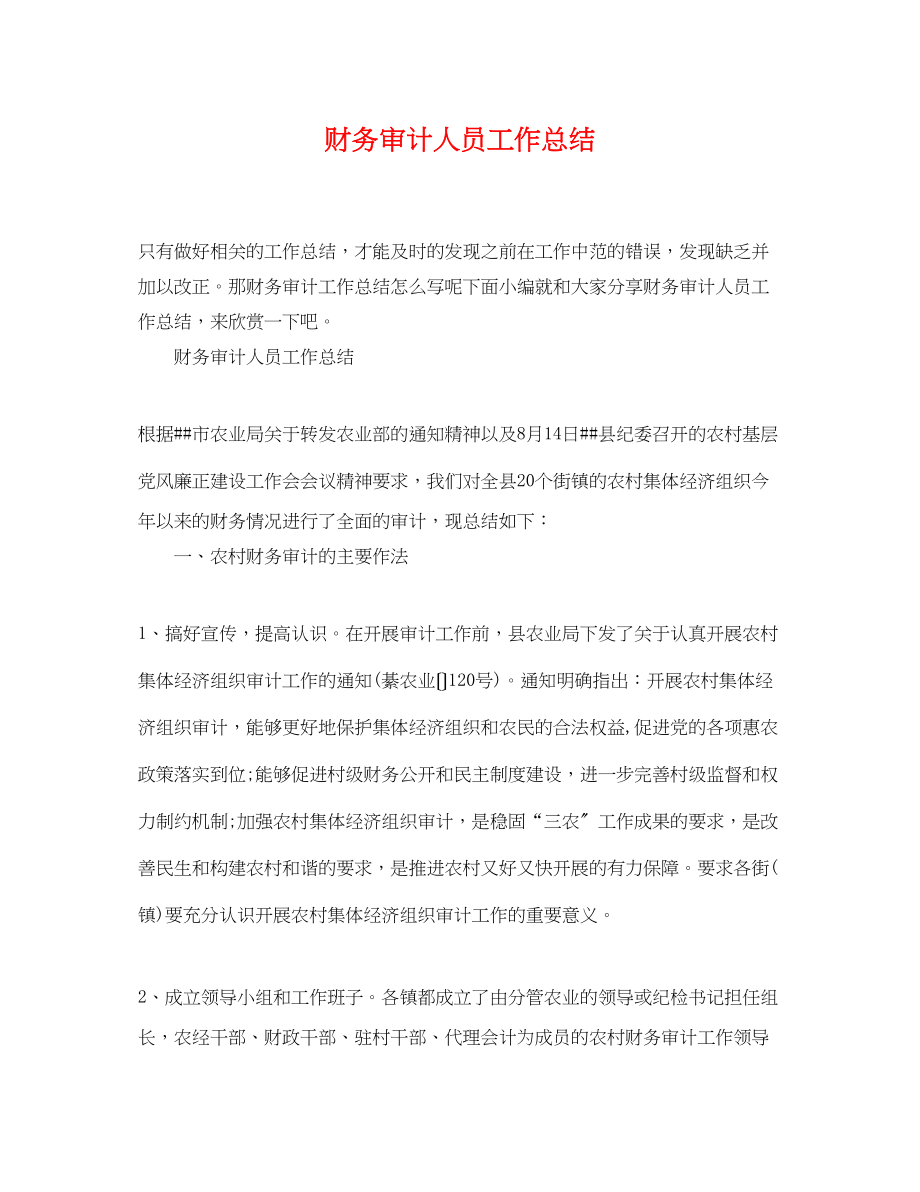 2023年财务审计人员工作总结.docx_第1页