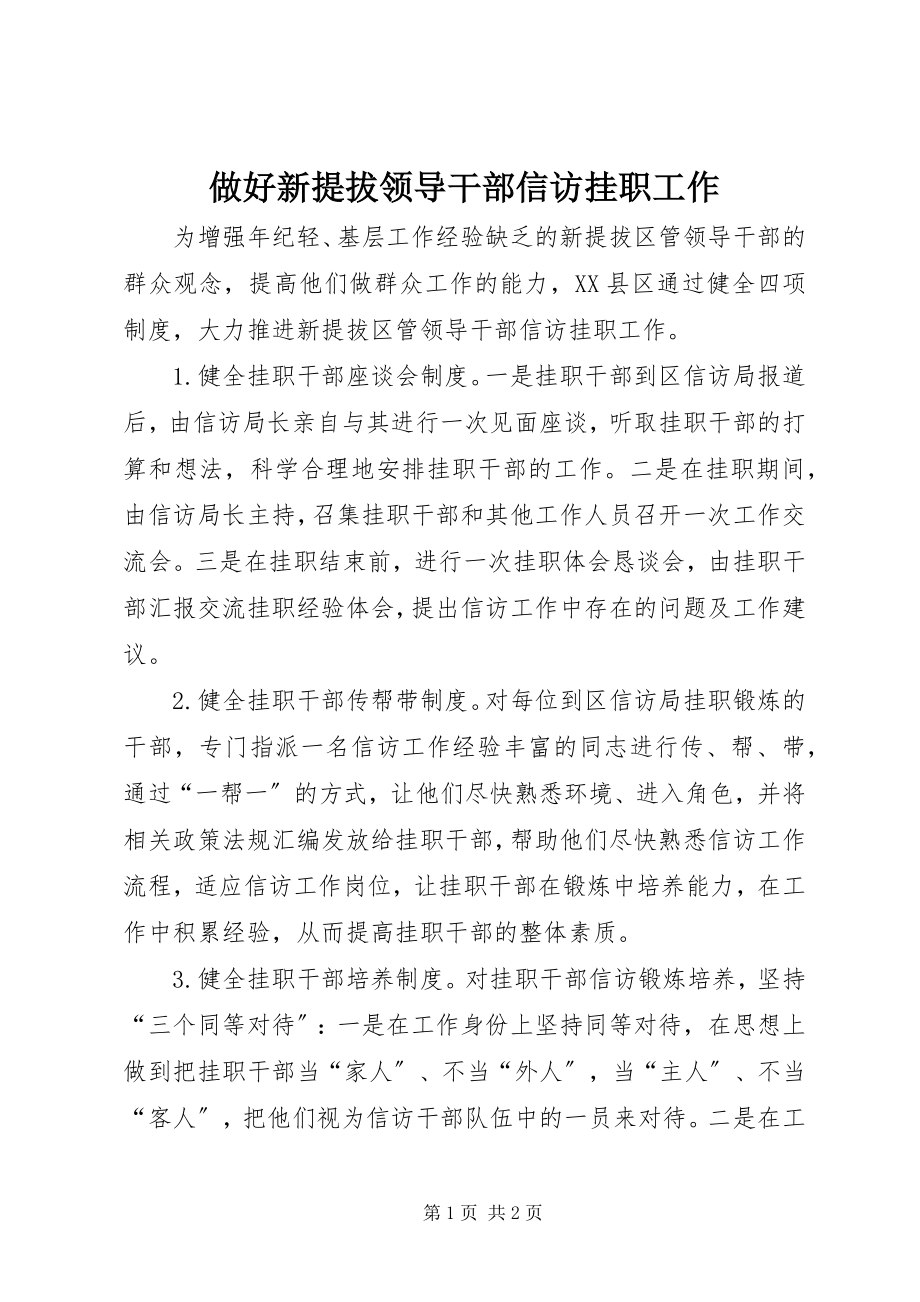 2023年做好新提拔领导干部信访挂职工作.docx_第1页