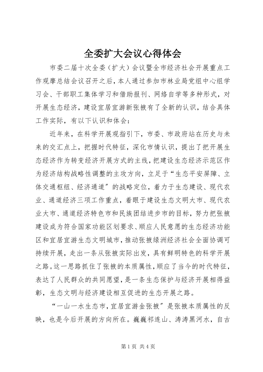 2023年全委扩大会议心得体会.docx_第1页