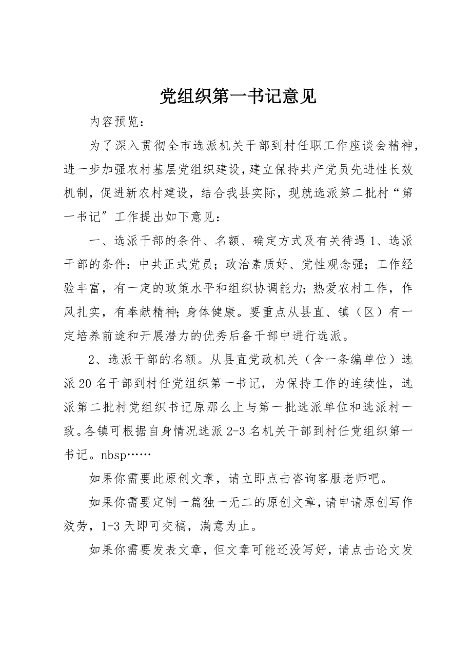 2023年党组织第一书记意见.docx_第1页