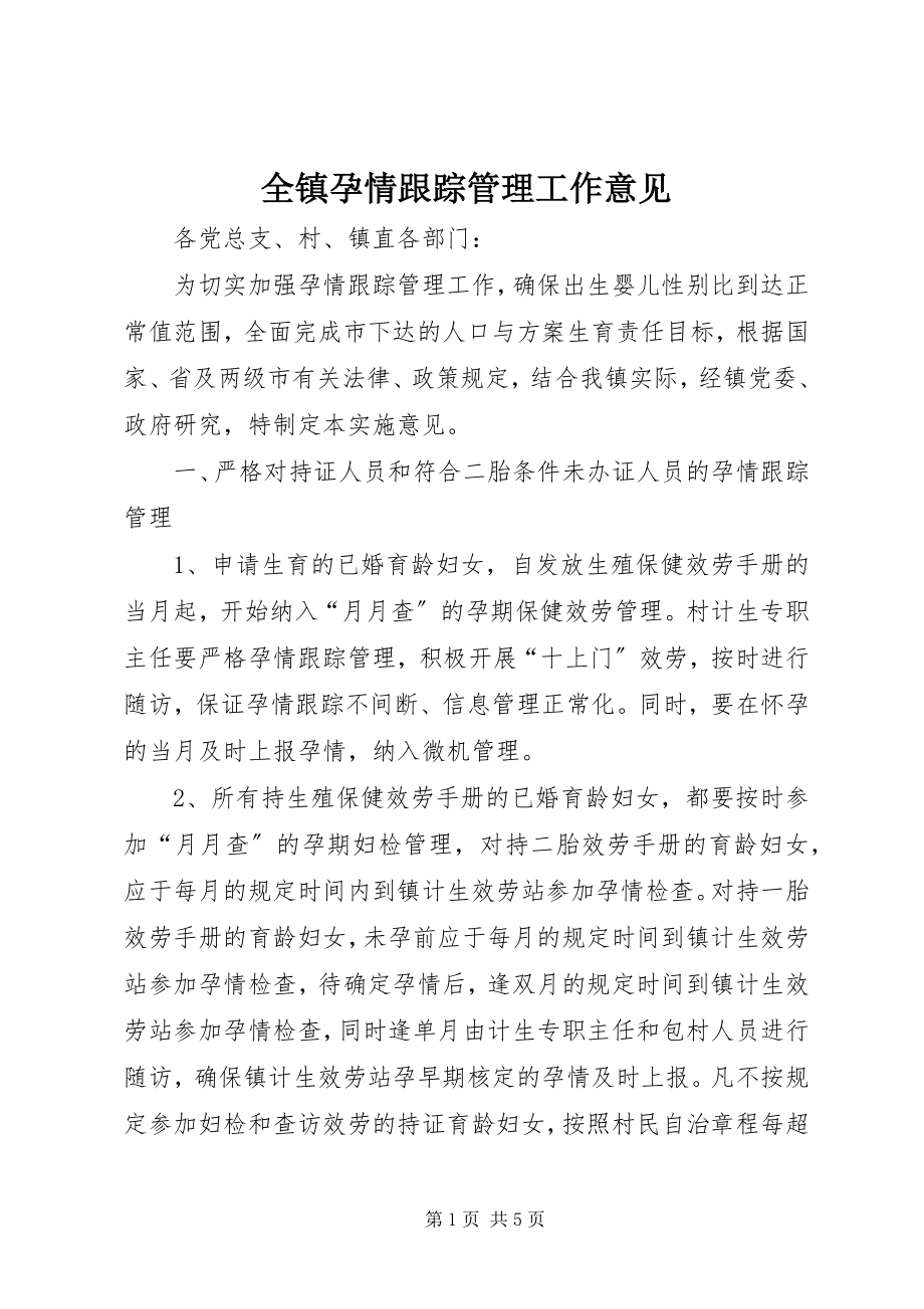 2023年全镇孕情跟踪管理工作意见.docx_第1页