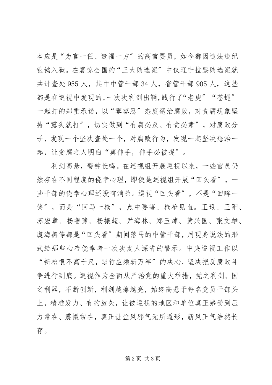 2023年观看巡视利剑心得体会.docx_第2页