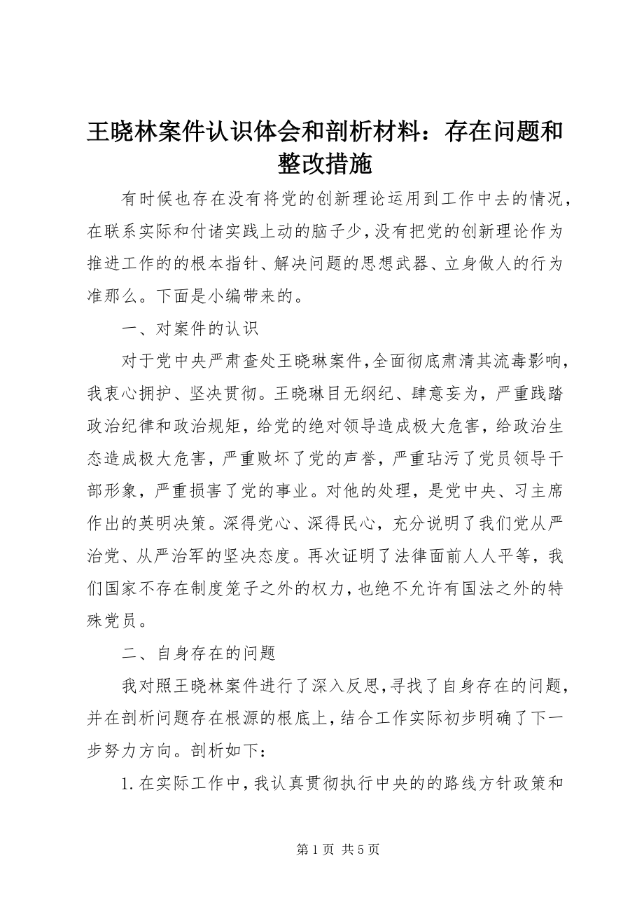 2023年王晓林案件认识体会和剖析材料存在问题和整改措施.docx_第1页